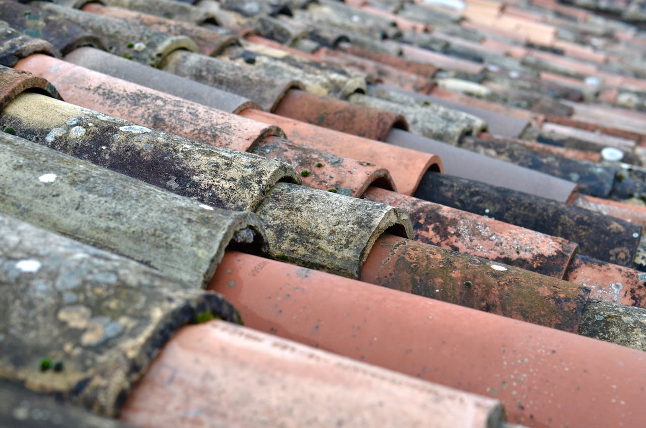 Roof cleaning route for black streaks and roofline buildup